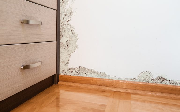 Public adjuster in Eureka