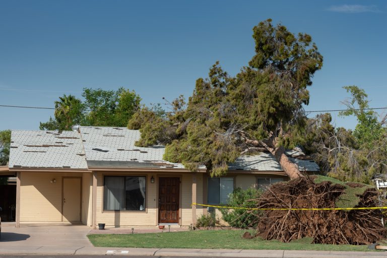 Public Adjuster in Willow Grove