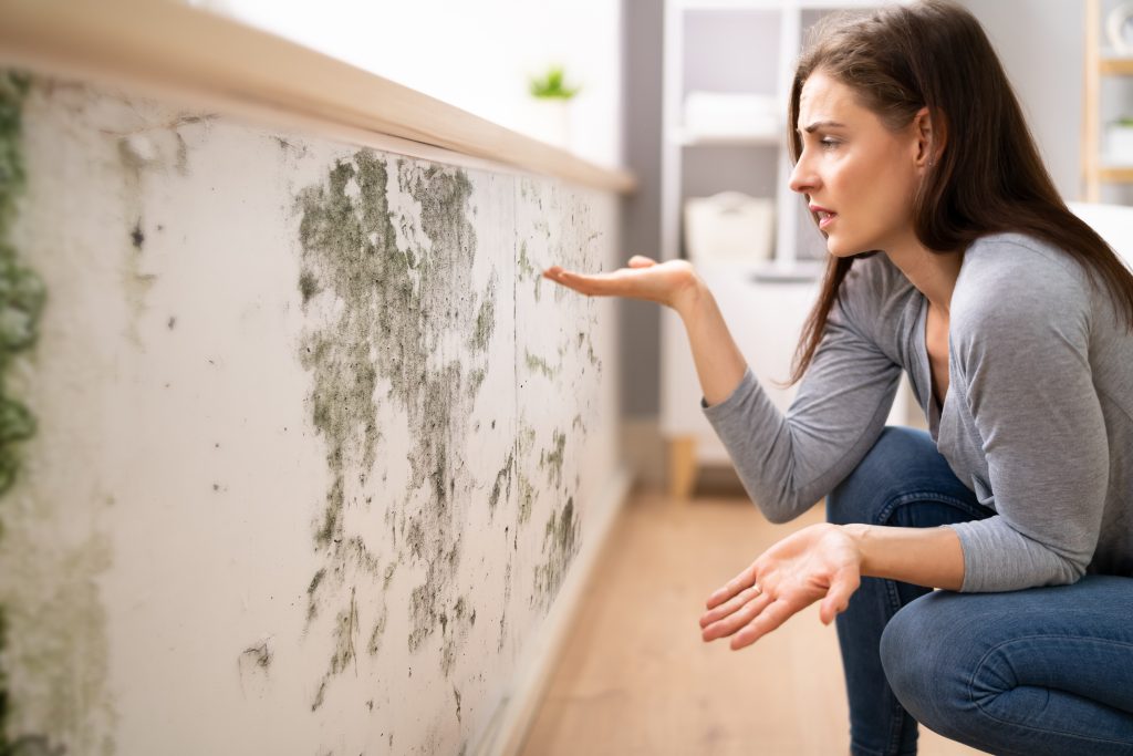 Home insurance claim help in Doylestown