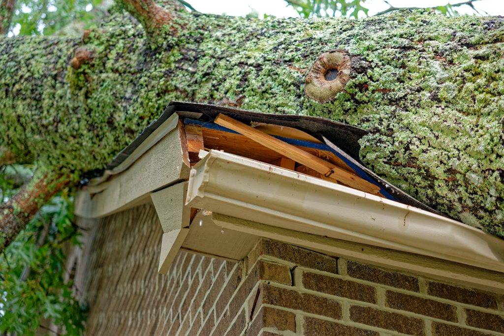 storm damage claim adjuster in Souderton