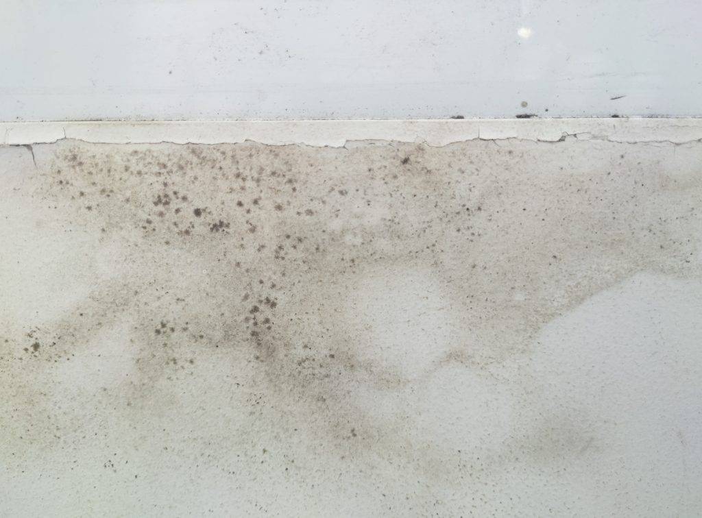 Water Damage Insurance Adjuster in Hatboro