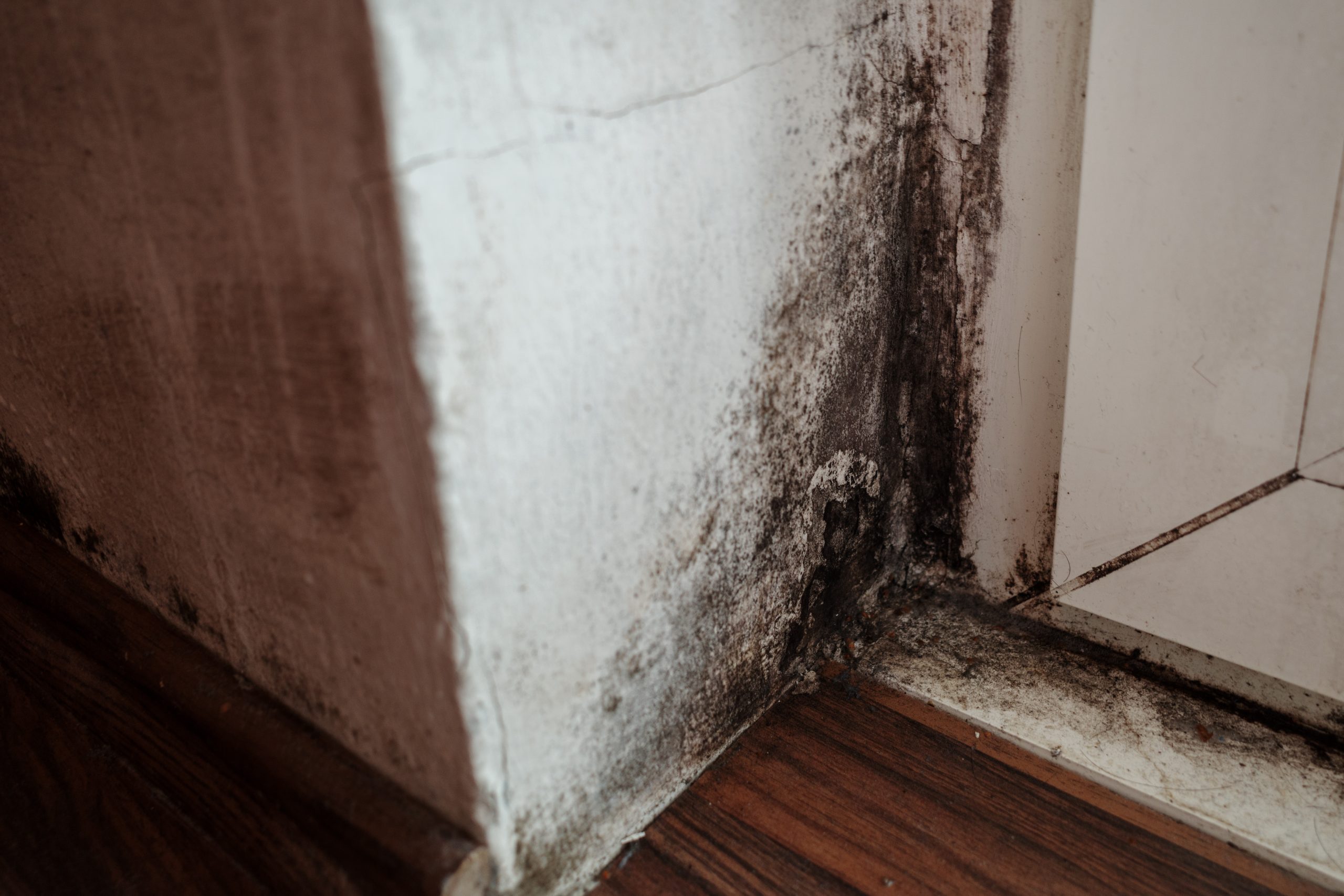 Public Adjuster in New Britain