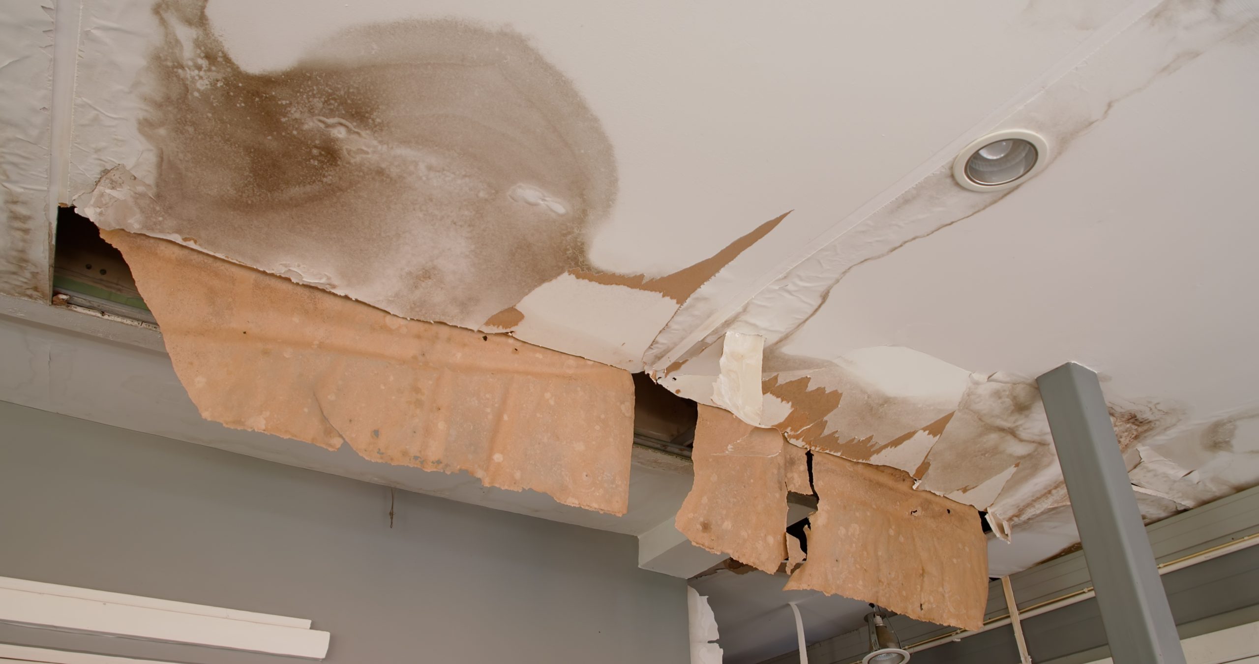 Independent Insurance Adjuster in Maple Glen
