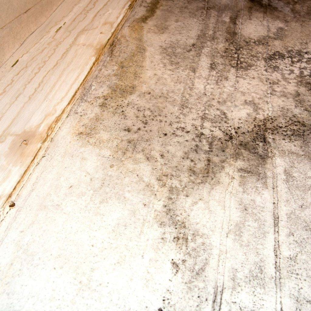 hidden damage discovered after claim closed