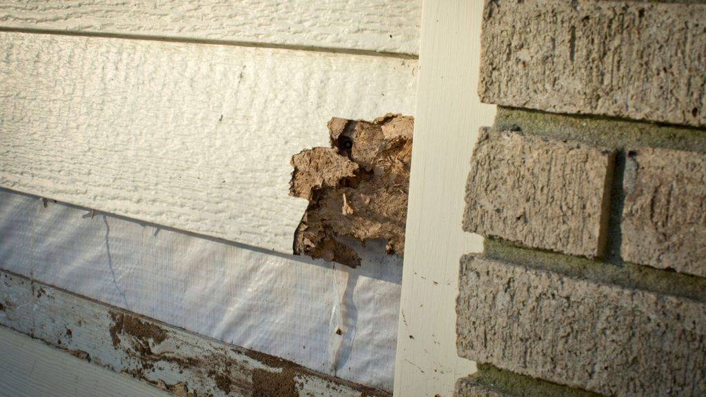 wind damage to siding insurance claim in Chalfont